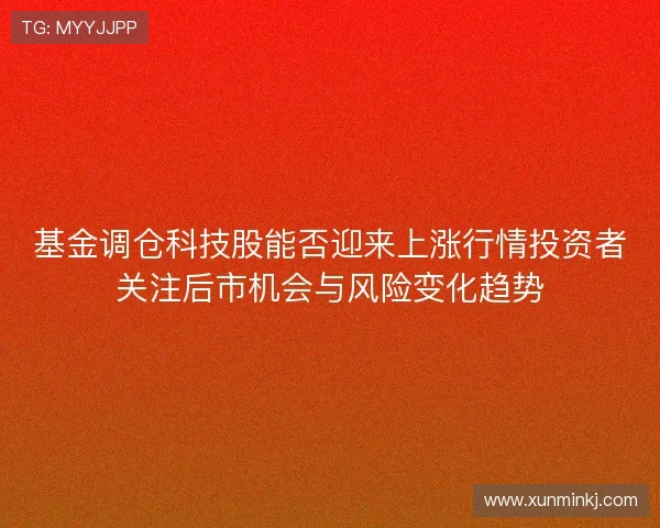 基金调仓科技股能否迎来上涨行情投资者关注后市机会与风险变化趋势 基金调仓科技股能否迎来上涨行情投资者关注后市机会与风险变化趋势